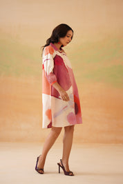 Petaluma Mini Shirt Dress