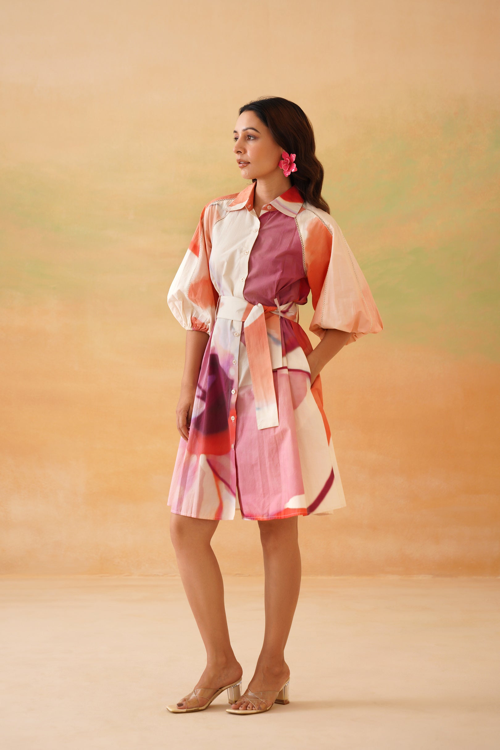 Petaluma Mini Shirt Dress