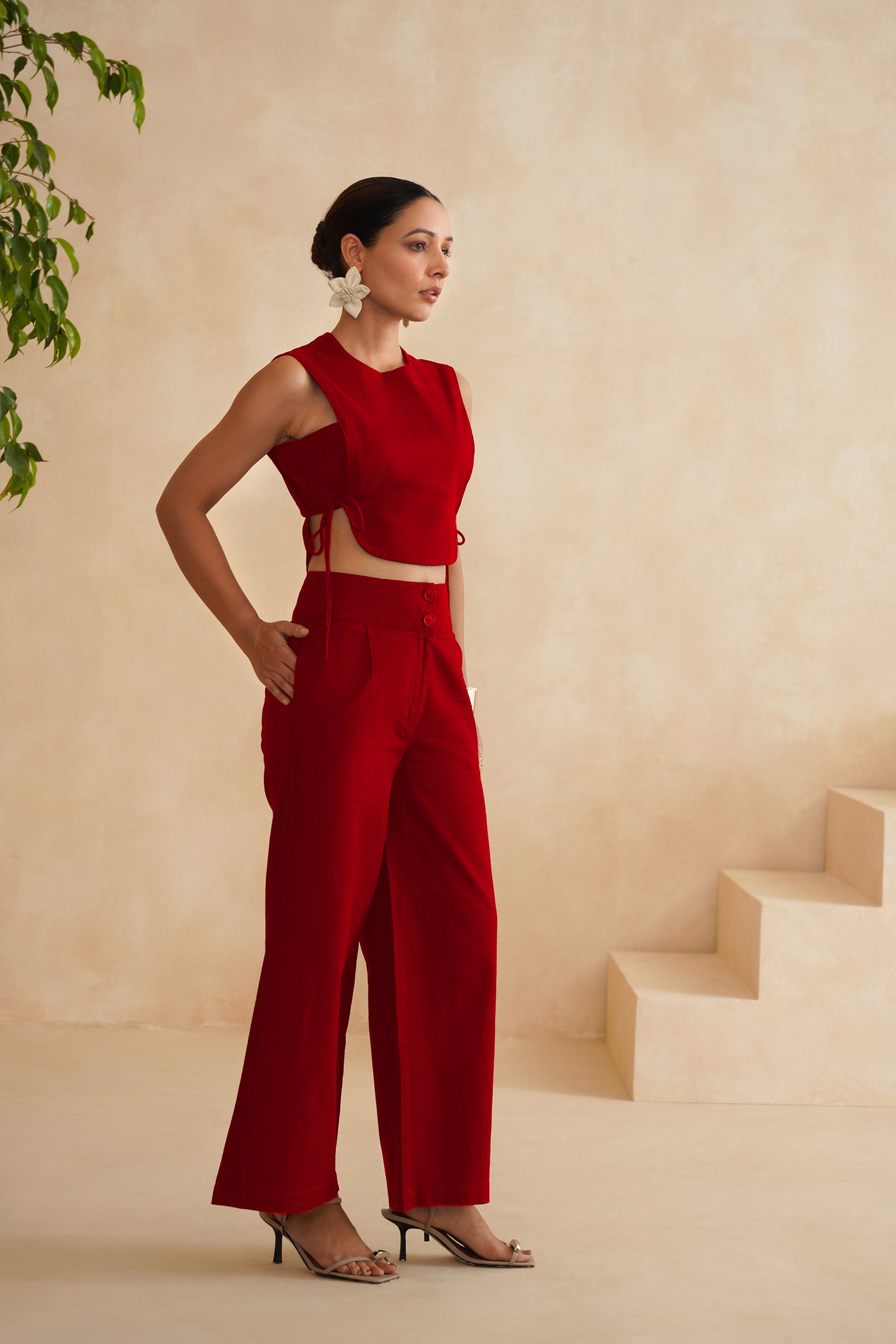 The Scarlet Set