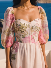 Riviera Rosé Midi